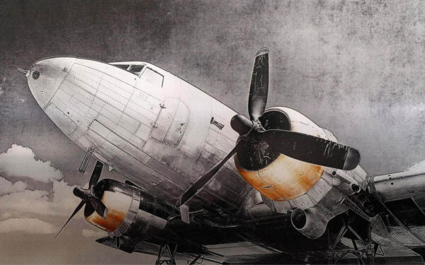 Plane with propellers Plane with propellers