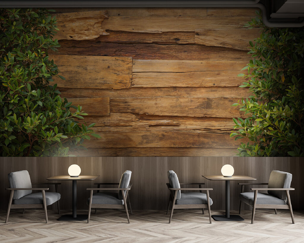 Tree next to a wood wall Tree next to a wood wall