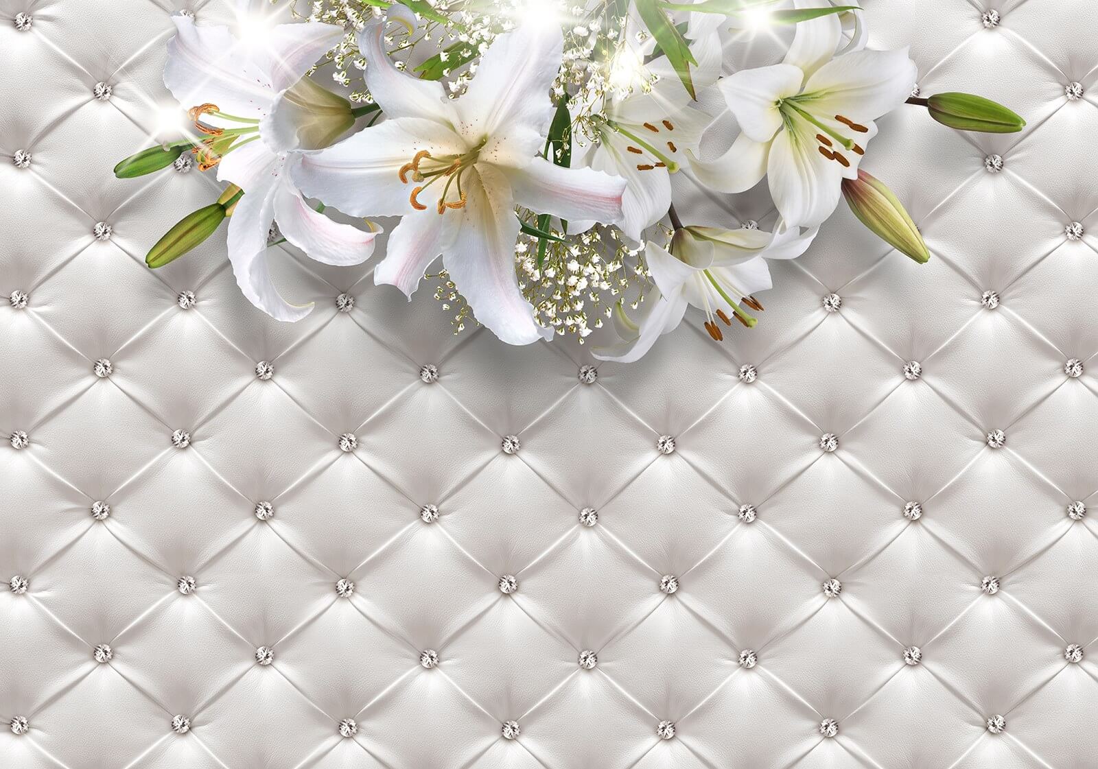 u18990p - Group of white flowers on a white background - tegory