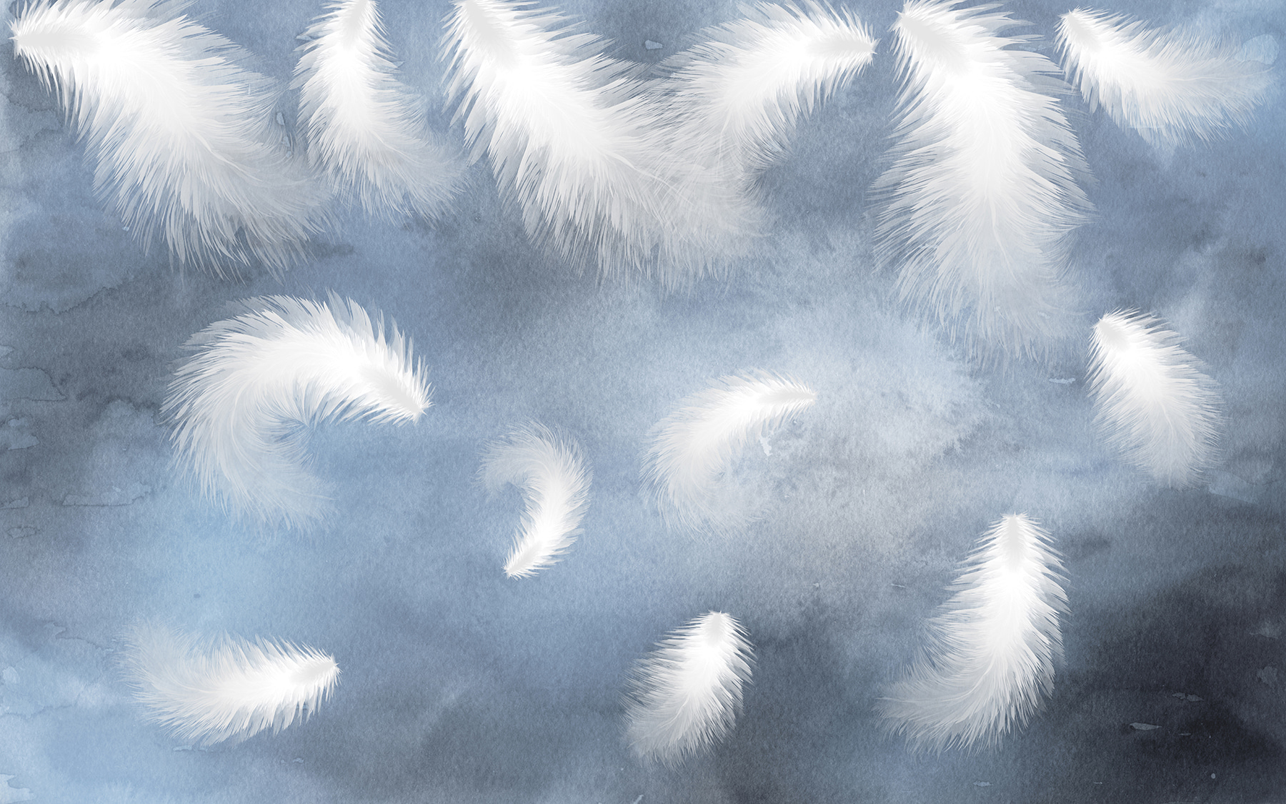 u18831p - White feathers in the sky - tegory