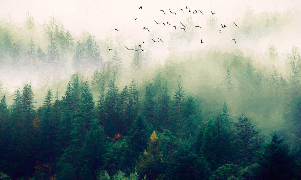 Birds flying over a forest Birds flying over a forest