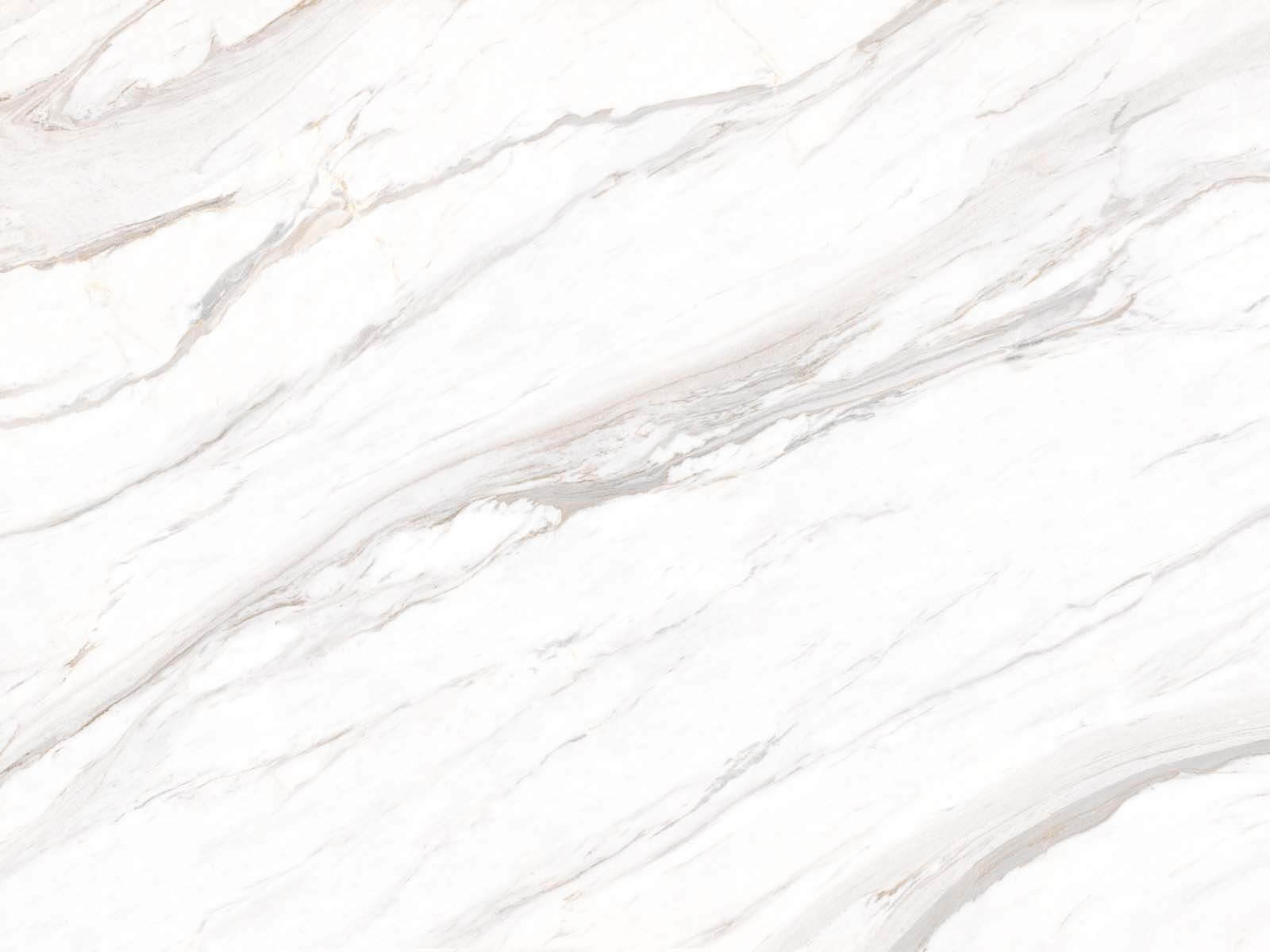 White marble with brown veins u18151p - White marble with brown veins - tegory