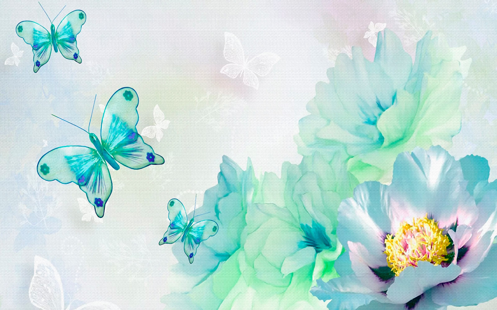 u17716p - Butterflies on a white background - tegory