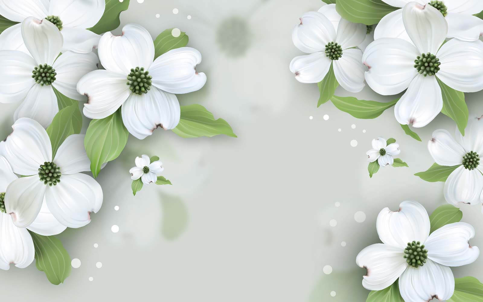 u17150p - White flowers with green leaves - tegory