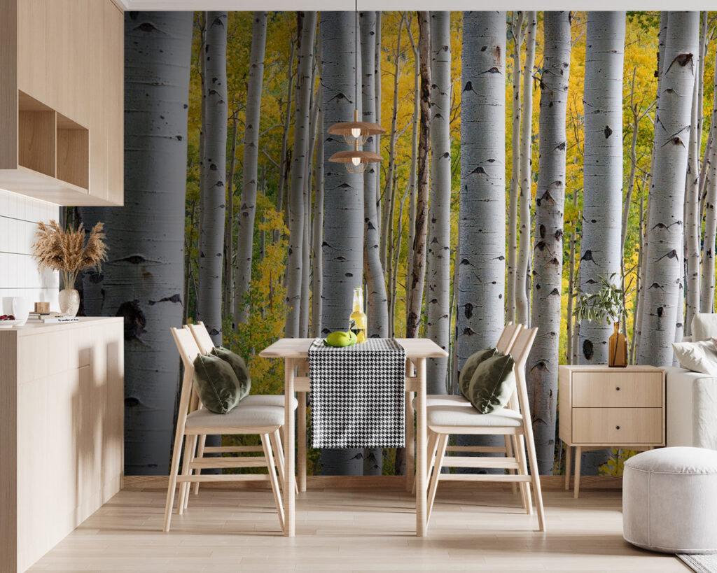 u13453pik119m 1024x819 - Group of white trees with yellow leaves - tegory