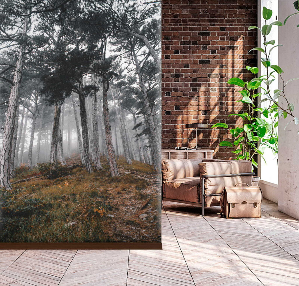 Forest with trees in the fog u12556pih3m 1024x980 - Forest with trees in the fog - tegory