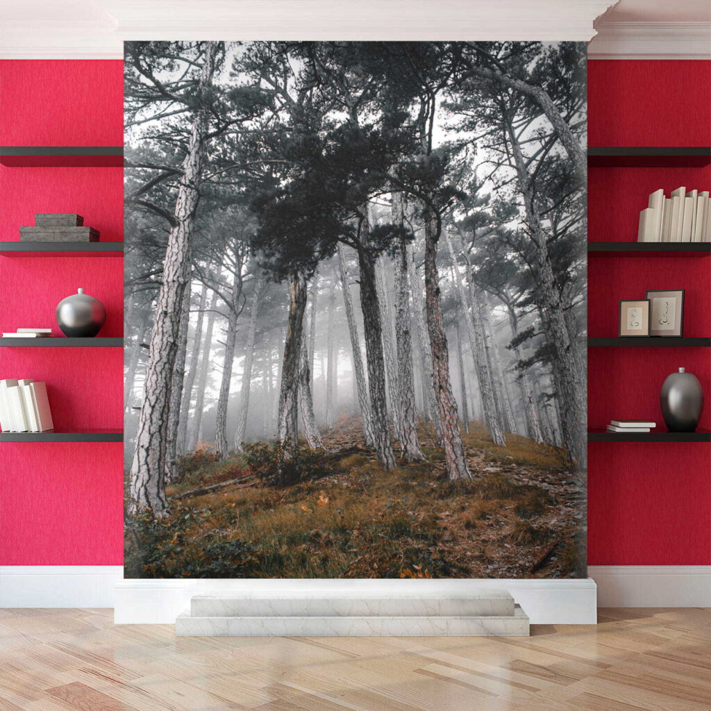 Forest with trees in the fog u12556pih2 1024x1024 - Forest with trees in the fog - tegory