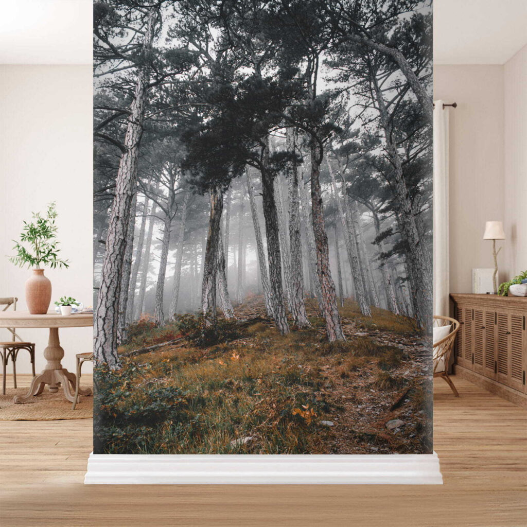 Forest with trees in the fog u12556pih1 1024x1024 - Forest with trees in the fog - tegory