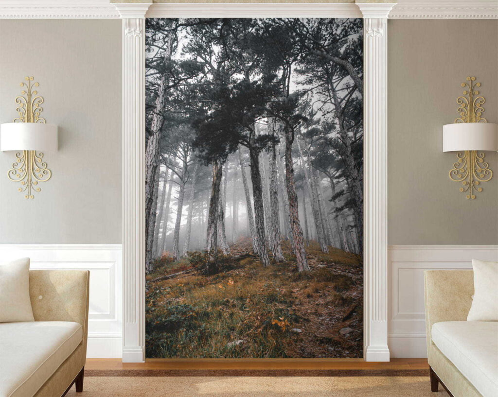 Forest with trees in the fog u12556pig2 1024x817 - Forest with trees in the fog - tegory