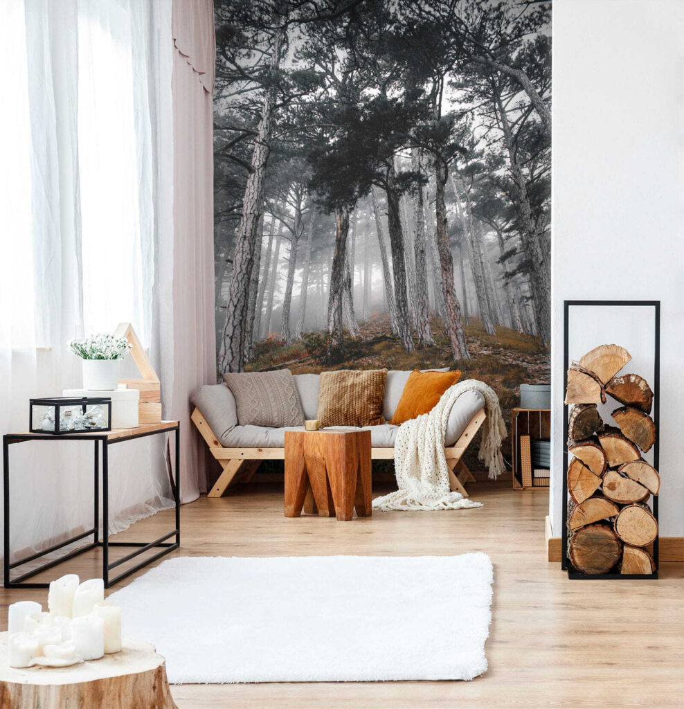 Forest with trees in the fog u12556pig1 988x1024 - Forest with trees in the fog - tegory