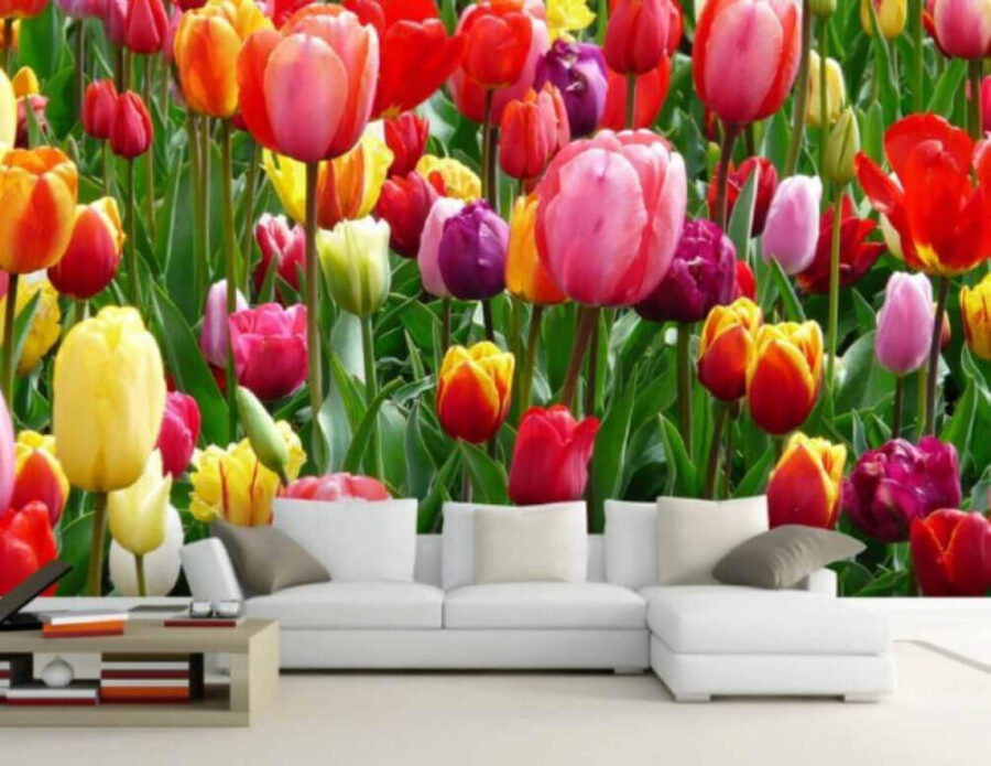Group of colorful tulips