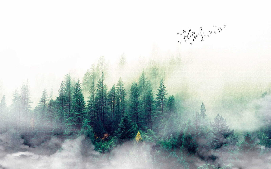 Birds flying over a forest Birds flying over a forest