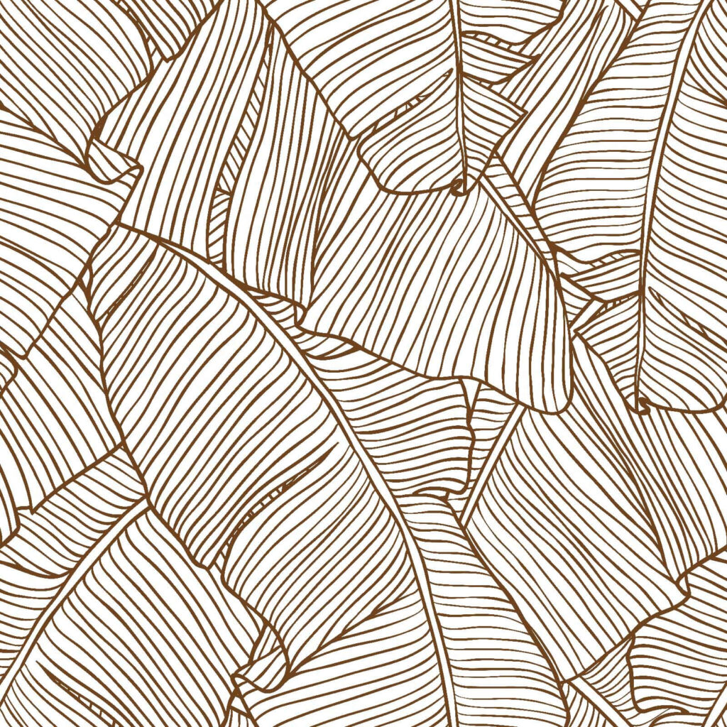 Natural patterns in elegant simplicity Natural patterns in elegant simplicity