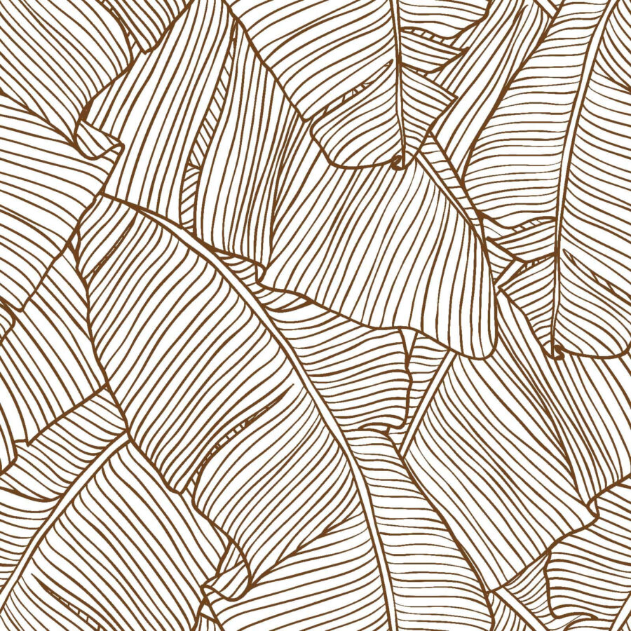 Natural patterns in elegant simplicity