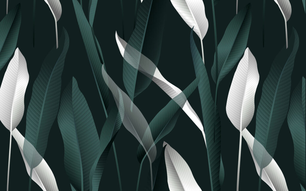 Elegant leaves on a dark backdrop