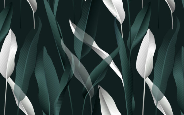 Elegant leaves on a dark backdrop