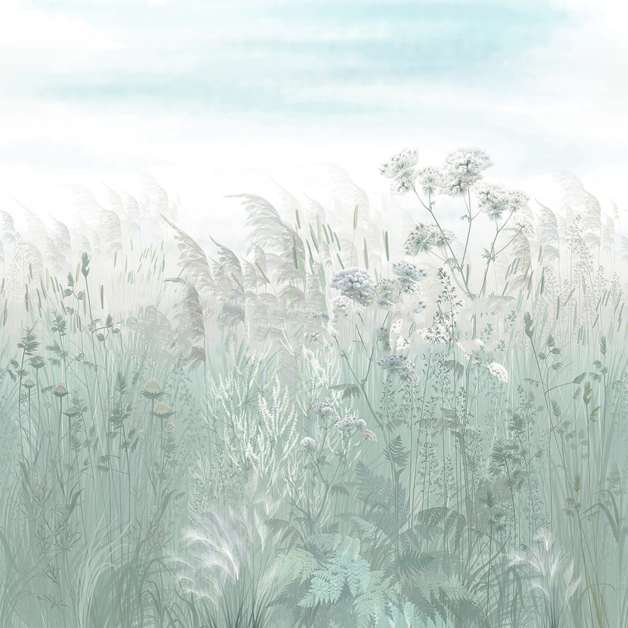 Field of grass and flowers u00104v3p 900x900 - Field of grass and flowers - tegory