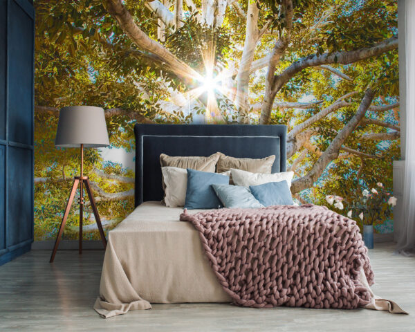 Majestic tree in radiant sunlight Majestic tree in radiant sunlight