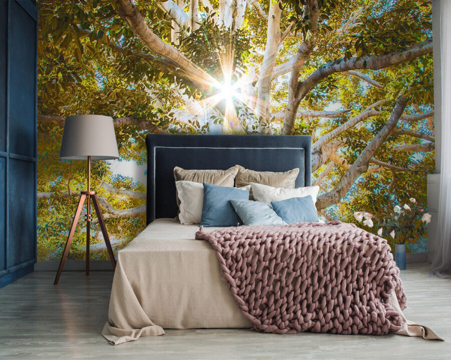 Wall murals Majestic tree in radiant sunlight - Image 2