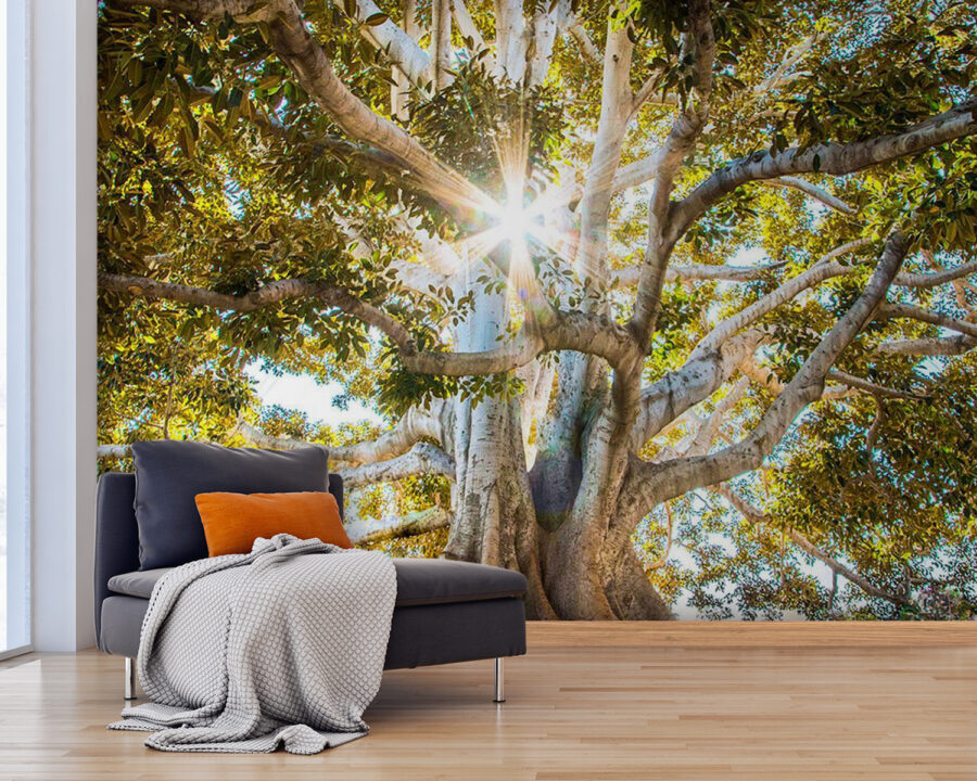Wall murals Majestic tree in radiant sunlight - Image 3
