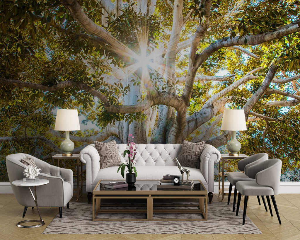 u01271pig43m 1024x819 - Majestic tree in radiant sunlight - tegory