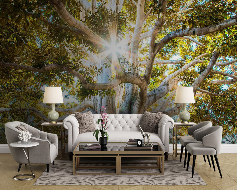 Wall murals Majestic tree in radiant sunlight