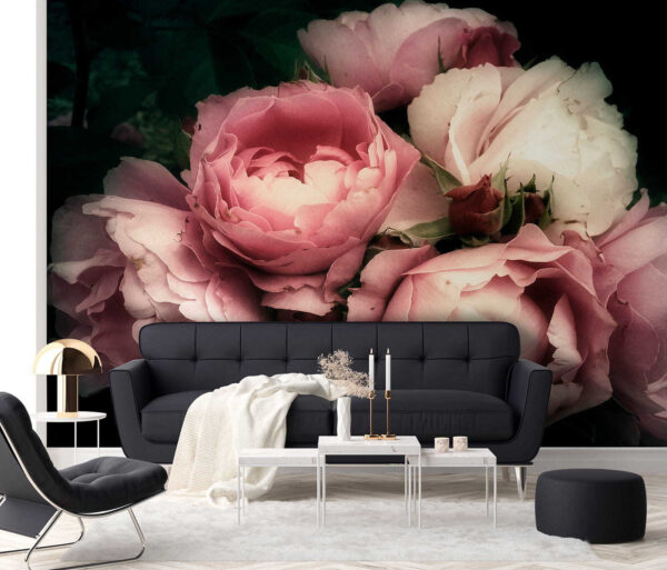 Group of pink and white roses Group of pink and white roses