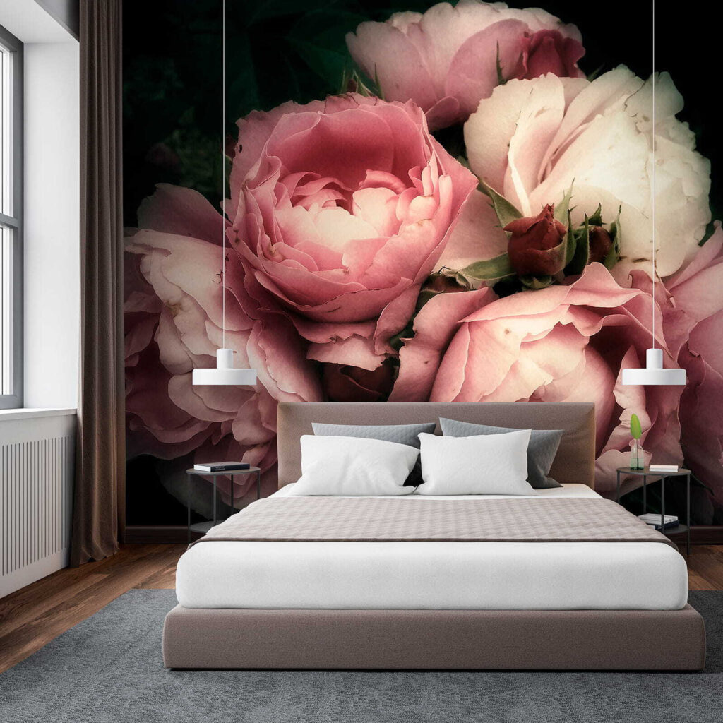 Group of pink and white roses