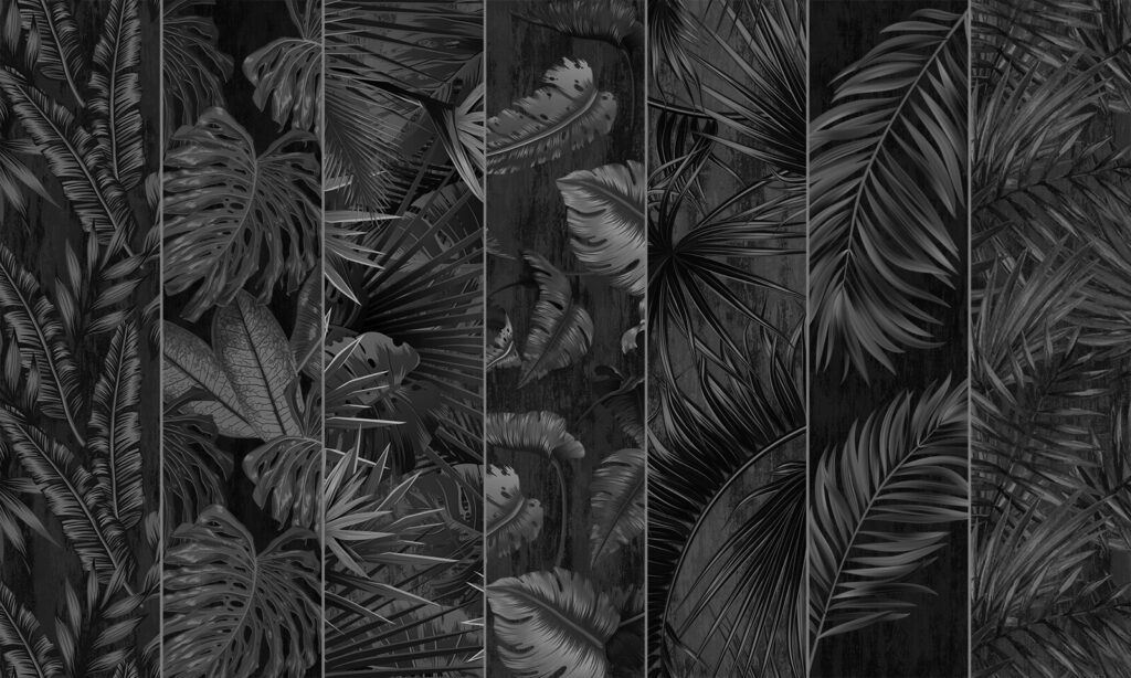 Black and white image of a variety of leaves Black and white image of a variety of leaves