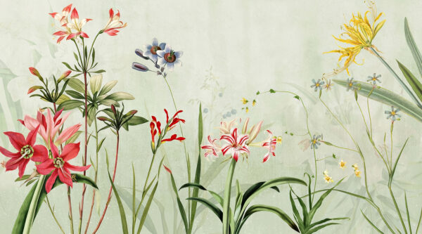 Vibrant flowers in soft green hues Vibrant flowers in soft green hues