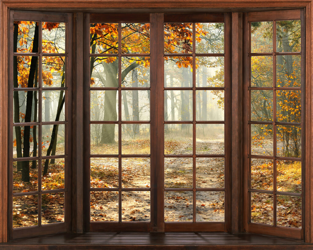 Window with trees and a path through it Window with trees and a path through it