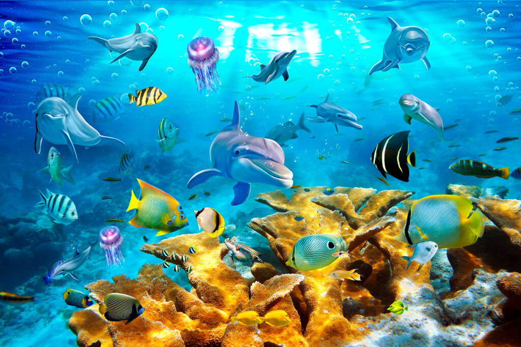 Group of fish swimming in the water Group of fish swimming in the water