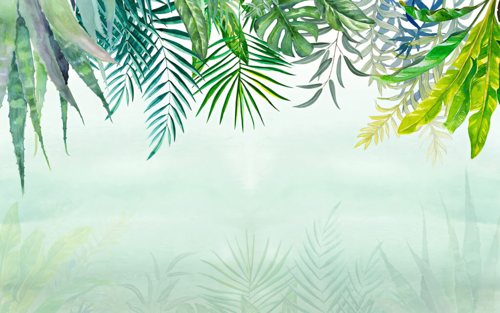 Group of leaves on a white background Group of leaves on a white background