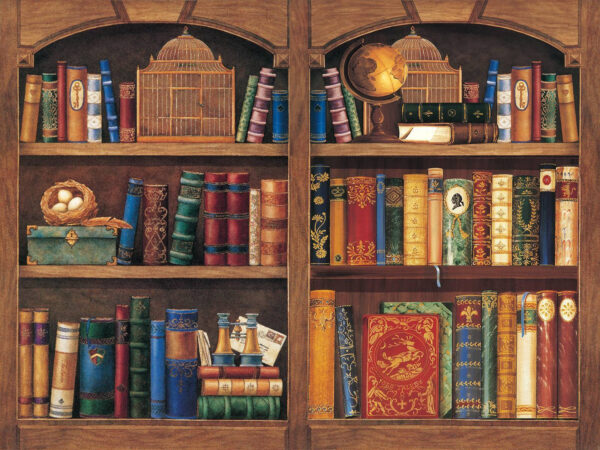 Bookshelf full of books Bookshelf full of books