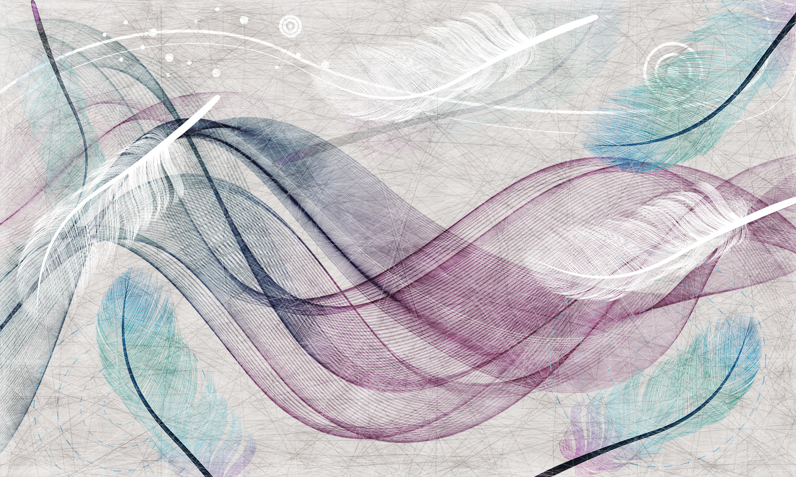 Colorful feathers on a white surface u05207p - Colorful feathers on a white surface - tegory