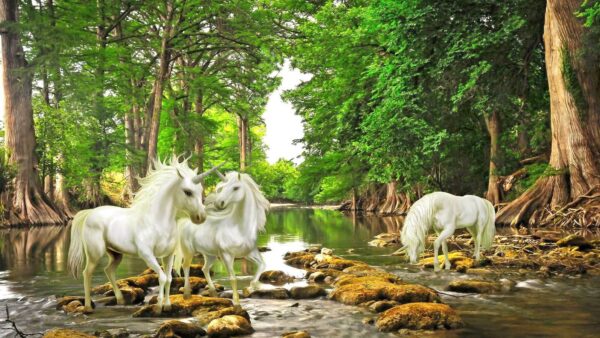 Group of white unicorns in a river Group of white unicorns in a river