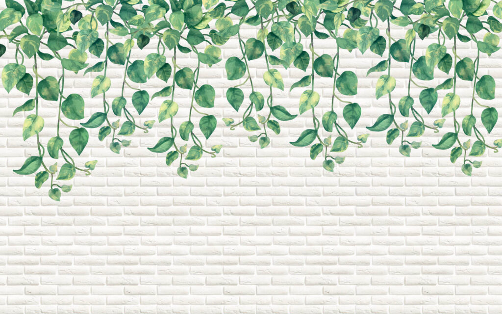 White brick wall with green leaves White brick wall with green leaves
