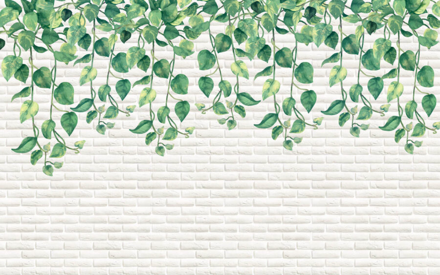 White brick wall with green leaves u06501p 900x563 - White brick wall with green leaves - tegory