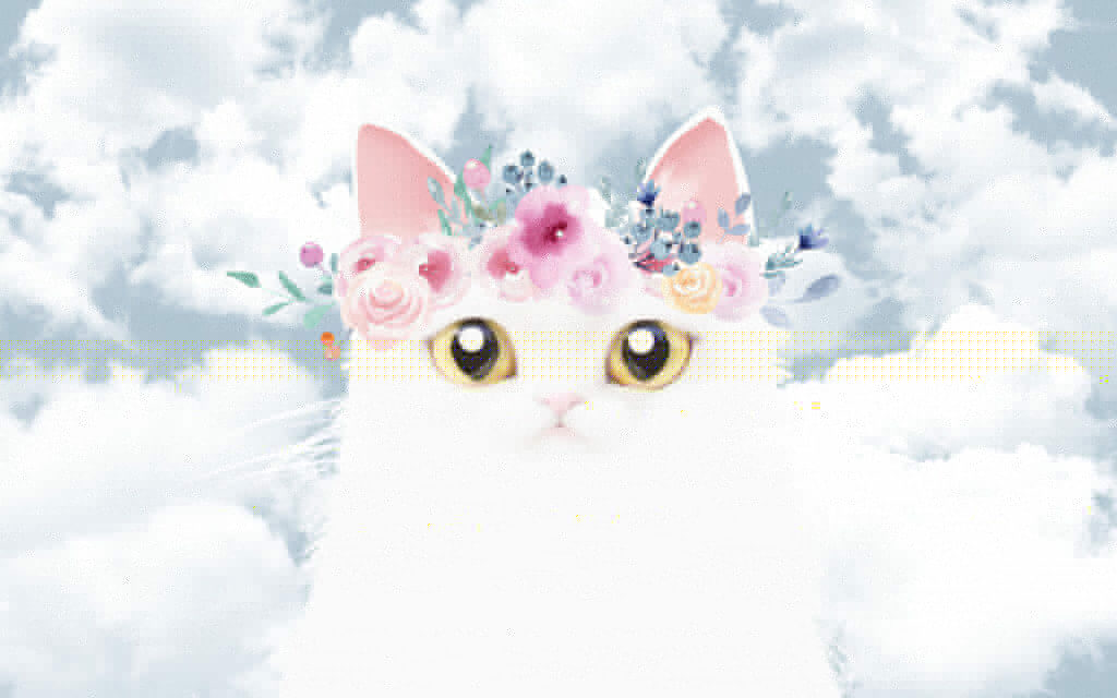 Cat with flowers on its head Cat with flowers on its head