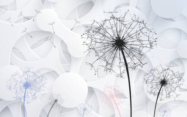 Dandelion seeds blowing in the wind Dandelion seeds blowing in the wind