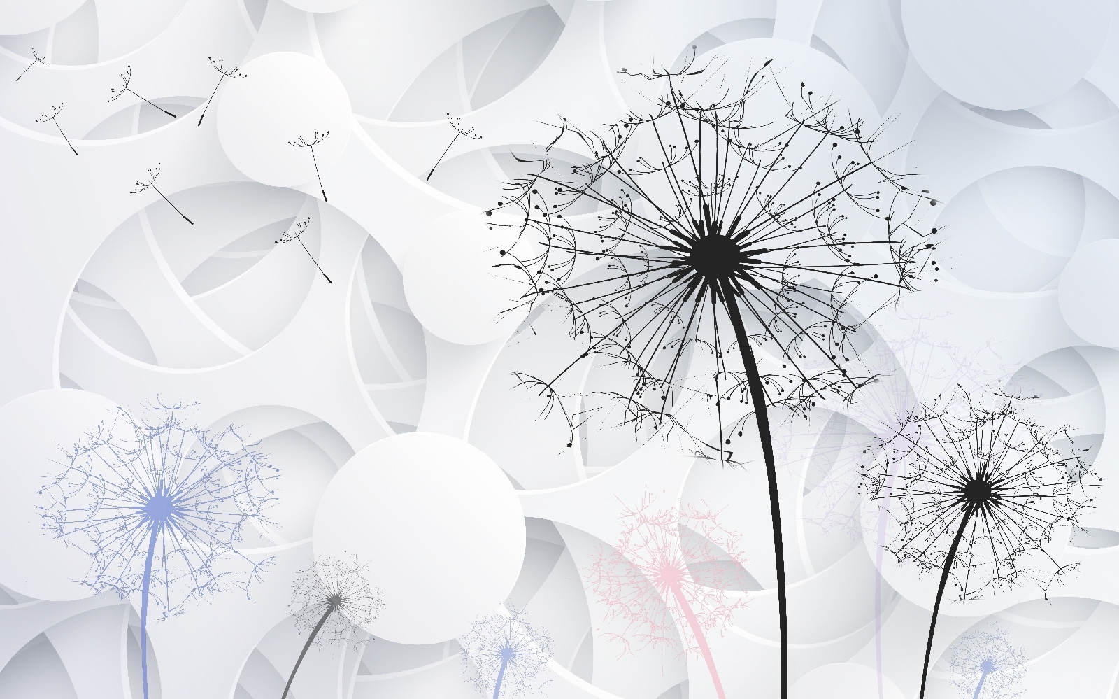 Dandelion seeds blowing in the wind u11926p - Dandelion seeds blowing in the wind - tegory