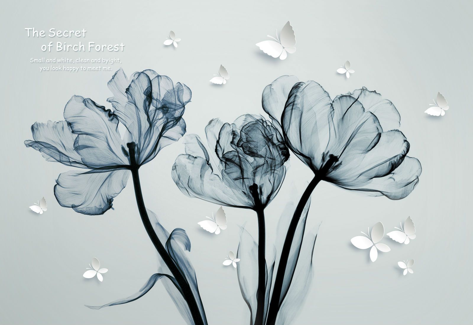 u14705p - Black and white image of flowers - tegory