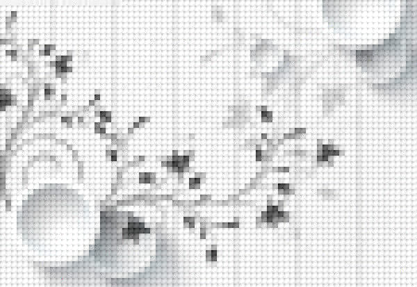 White wall with black and white flowers White wall with black and white flowers