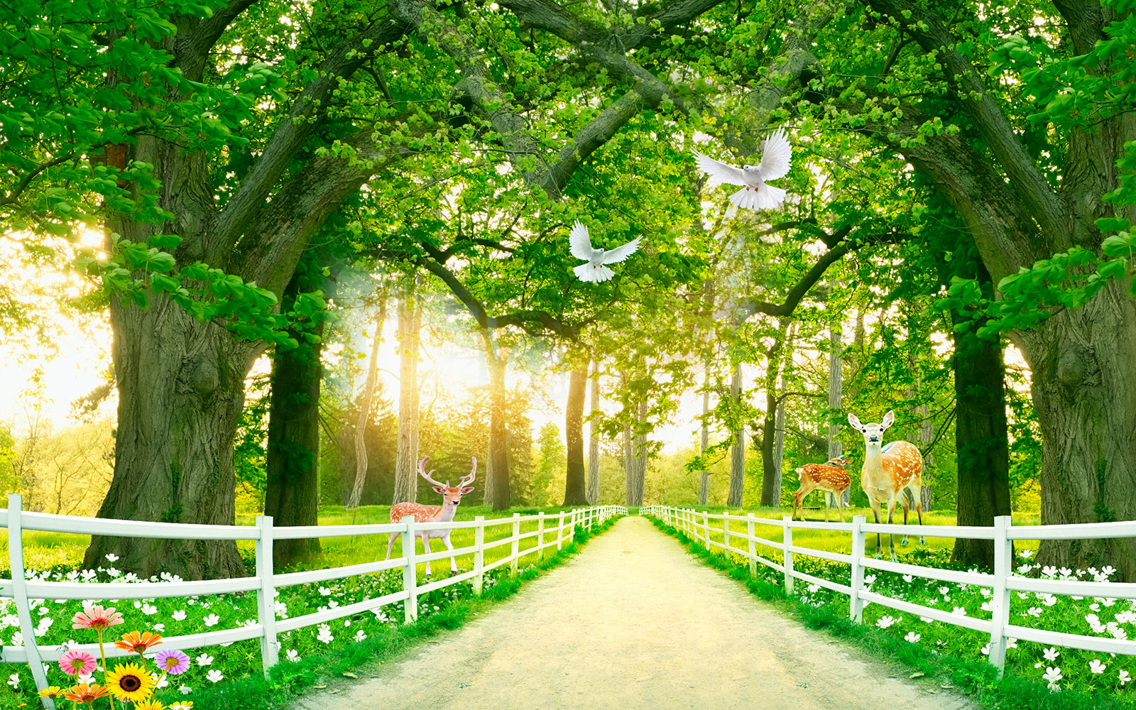 Path with trees and a white fence and deer u16674p - Path with trees and a white fence and deer - tegory