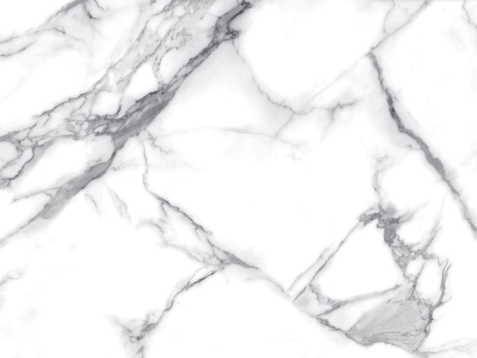 u19476p - White marble with black veins - tegory