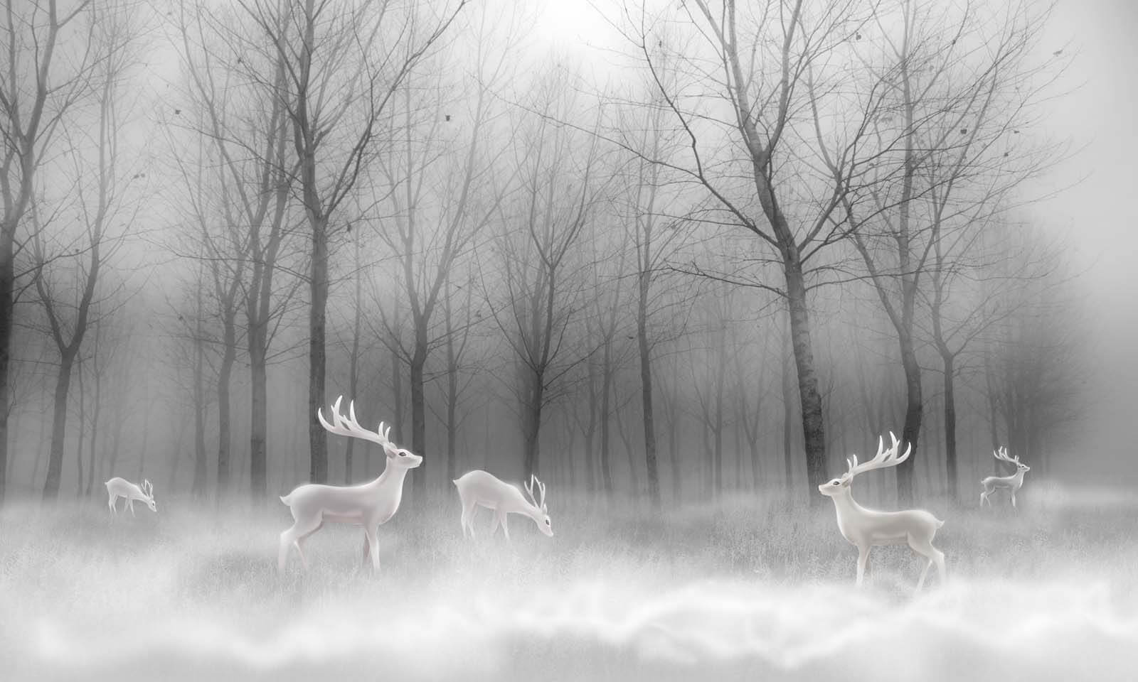 Group of white deer in a foggy forest u19701p - Group of white deer in a foggy forest - tegory
