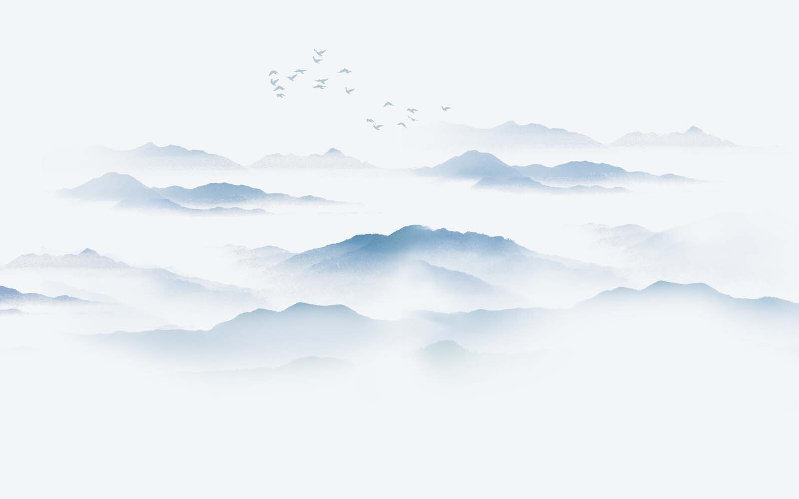 u23252p - Birds flying over a foggy mountain range - tegory