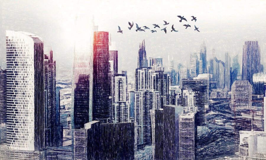 Birds flying over a city
