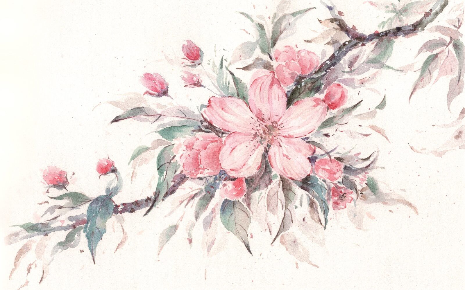 Painting of pink flowers on a branch u29797p - Painting of pink flowers on a branch - tegory