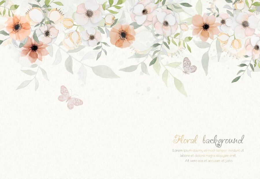 White background with flowers and butterflies u31287p 900x619 - White background with flowers and butterflies - tegory
